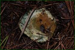 0_f2211_ed0f472c_orig.jpg