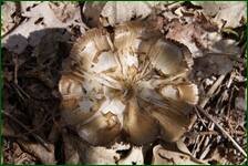 0_f61cb_9a6ef3d6_orig.jpg