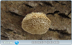 0_123d8b_1a6a6ebd_orig.png