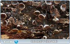 0_1260f4_bfee904b_orig.png
