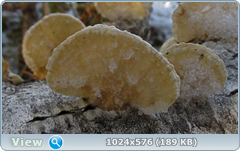0_11eaba_c1d7aad6_orig.png