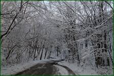 0_f17fc_5d16214_orig.jpg