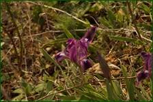 0_f5be2_89ee9675_orig.jpg
