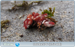 0_12452b_9aa3716e_orig.png