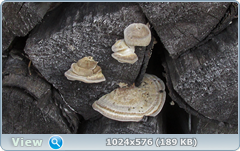 0_120945_34e06c98_orig.png
