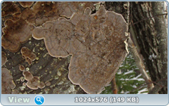0_120967_921bc1ce_orig.png