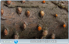 0_1242c6_a6a88e30_orig.png