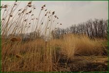 0_f5b6a_ca1d6085_orig.jpg