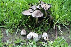 0_142ef2_5455c45e_orig.jpg