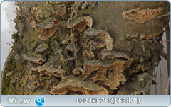 0_120980_3c958193_orig.png