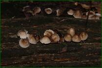 0_f156a_9f719eb6_orig.jpg