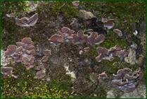 0_f1610_832fae5f_orig.jpg