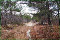 0_c5c14_264cd52d_orig.jpg