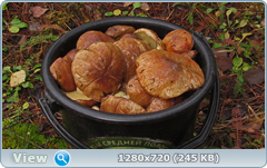 0_fc75f_e70ca74f_orig.png