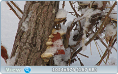 0_120943_a7c930d5_orig.png