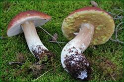 0_14b420_404c759_orig.jpg