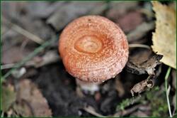 0_14b4c4_2b2df570_orig.jpg