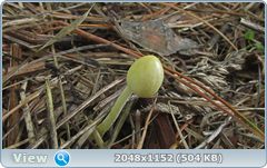 0_12ab04_ad6cacc1_orig.png