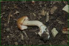 0_fc7e6_38a0581f_orig.jpg