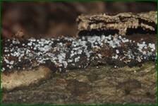 0_fe1e4_b29f457d_orig.jpg