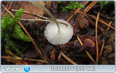 0_12afb6_91013a34_orig.png