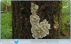 0_12afe6_5ab47da6_orig.png