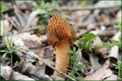 0_13db93_d146828f_orig.jpg