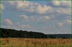 0_149396_2e78494e_orig.jpg