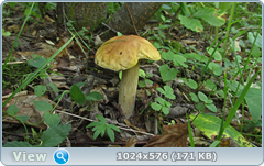 0_12bee3_28d6bc96_orig.png