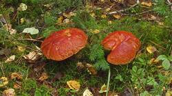 0_12d9b6_73bc6014_orig.jpg