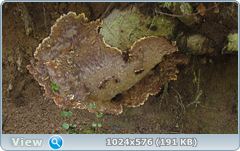 0_12da28_1a0e212_orig.png
