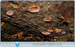 0_12dd27_e3b0a175_orig.png