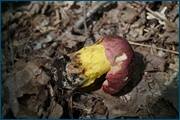 0_d2567_2efc6ae5_orig.jpg
