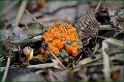 0_141c67_1814808d_orig.jpg