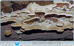 0_fc27e_1c79f033_orig.png