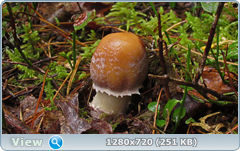 0_eb200_34479d8_orig.png