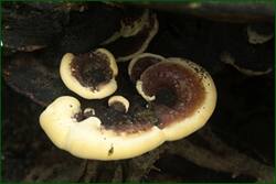 0_fd934_fda48f6f_orig.jpg