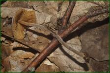 0_fe176_fa17e2a5_orig.jpg