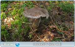 0_12bf05_2e4a47e0_orig.png