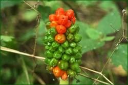 0_fd928_61e5d61a_orig.jpg