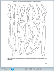 0_128b4a_679aab76_orig.png