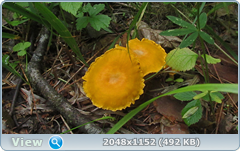 0_12ab2f_48e67878_orig.png