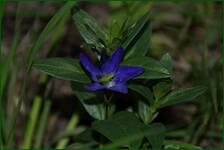 0_f6221_ec50701b_orig.jpg