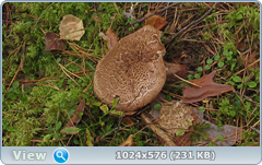 0_11cc25_4d976de_orig.png