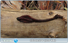 0_123dab_7b86377_orig.png