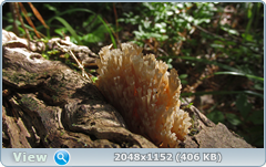 0_12a127_b9b1084d_orig.png