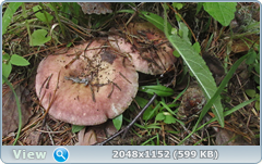 0_12ab56_4ed2c5a5_orig.png