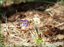 0_14063d_5a0dc9d6_orig.jpg