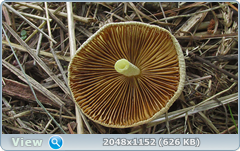 0_12ab08_be790973_orig.png