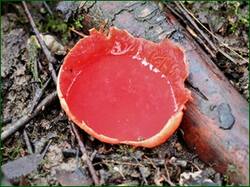 0_13dd80_5573062b_orig.jpg